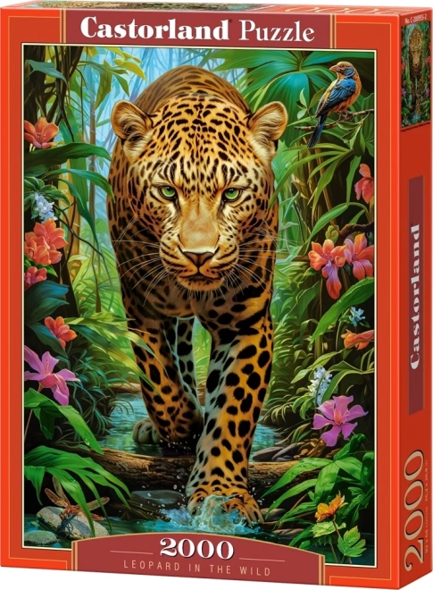 Puzzle Leopard în sălbăticie 2000 de piese