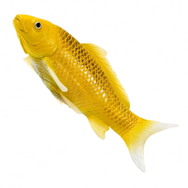 Mojo crap koi Matsuba