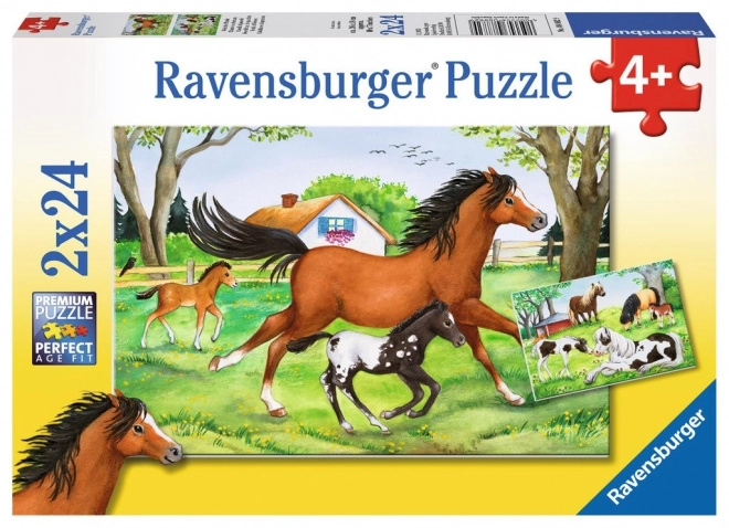 Puzzle lumea cailor 2x24 piese