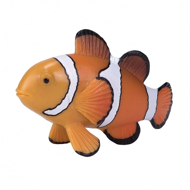 Clownfish Mojo