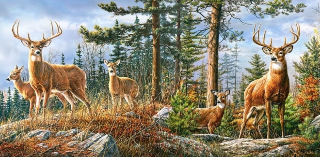 Puzzle Castorland familia regală de cerbi 4000 piese