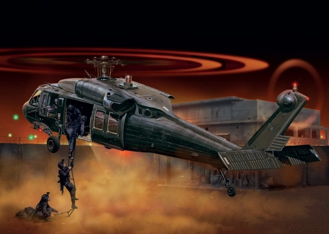 Elicopter de asalt UH-60/MH-60 Black Hawk Night Raid