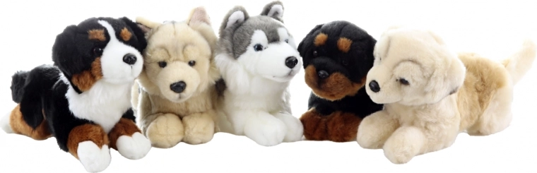 Aspect realist, mai multe rase