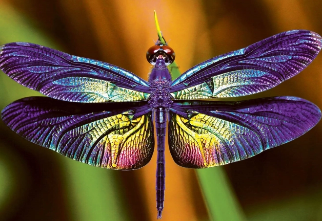 Puzzle Natura Colorată: Libelulă 250 piese