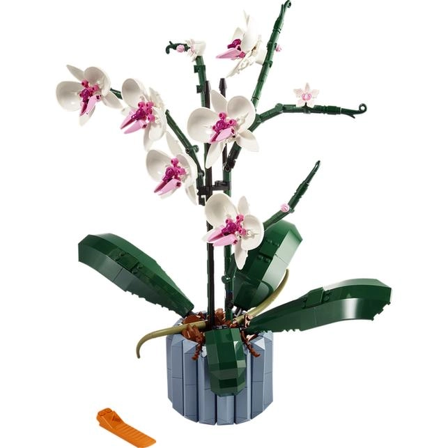 Decorațiune Frumoasă și Adaptabilă