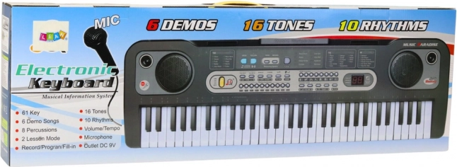 Instrumente muzicale electronice cu microfon pentru copii