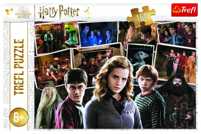 Puzzle Harry Potter și prietenii - 160 de piese