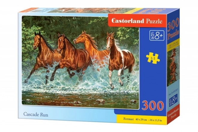 Puzzle 300 de piese Cascade Run