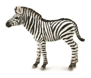 Figurina Zebra Collecta