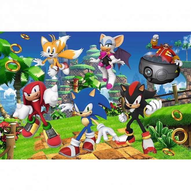 Puzzle 160 piese Sonic și prietenii