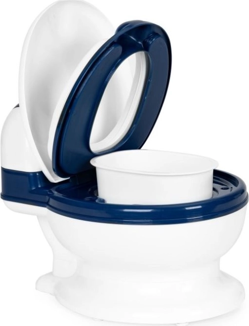 Design funcțional