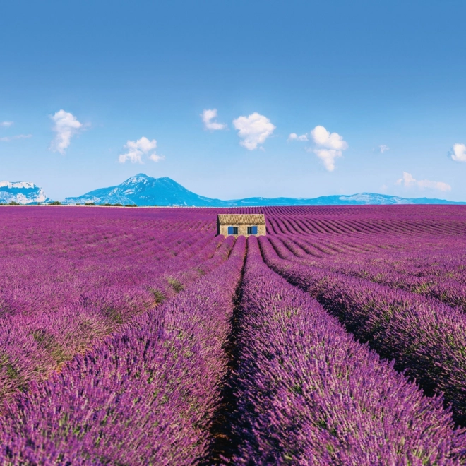 Calendar de notițe Provence 2026