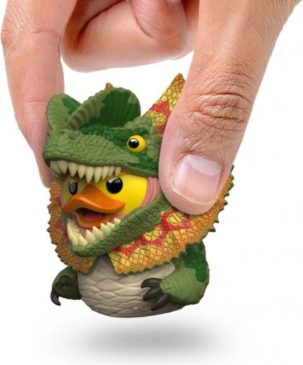 Ideală pentru colecționari și pentru birou