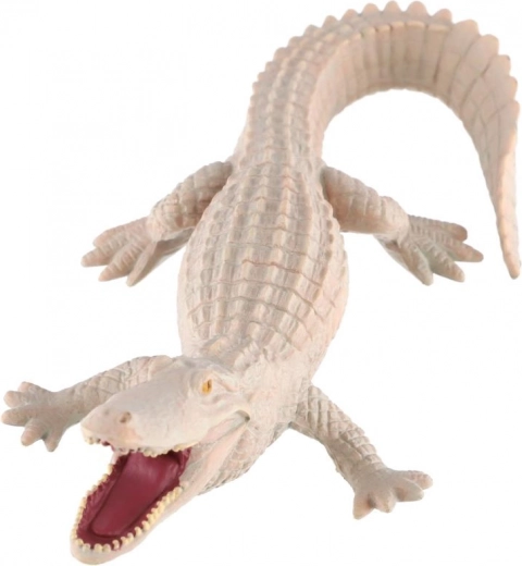 Valoare educațională despre coloritul rar