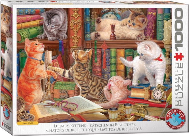 Puzzle Eurographics Bibliotecă De Pisici 1000 Piese