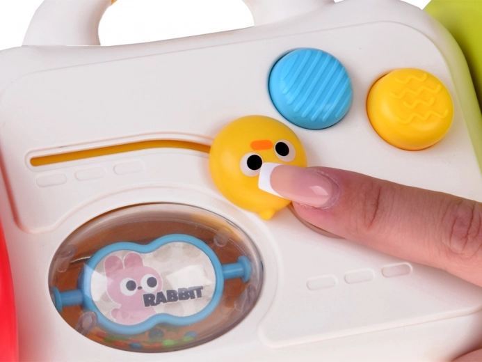 Butoane, glisoare și zornăitoare