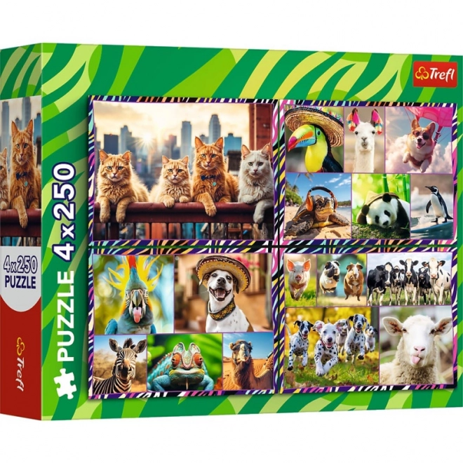 Puzzle 4 x 250 piese animale amuzante