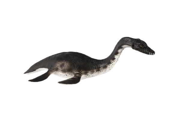 Figurina dinozaur Plesiosaur din plastic 23cm