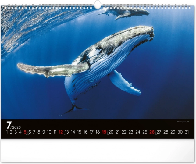 Calendar de perete Lumea subacvatică 2026