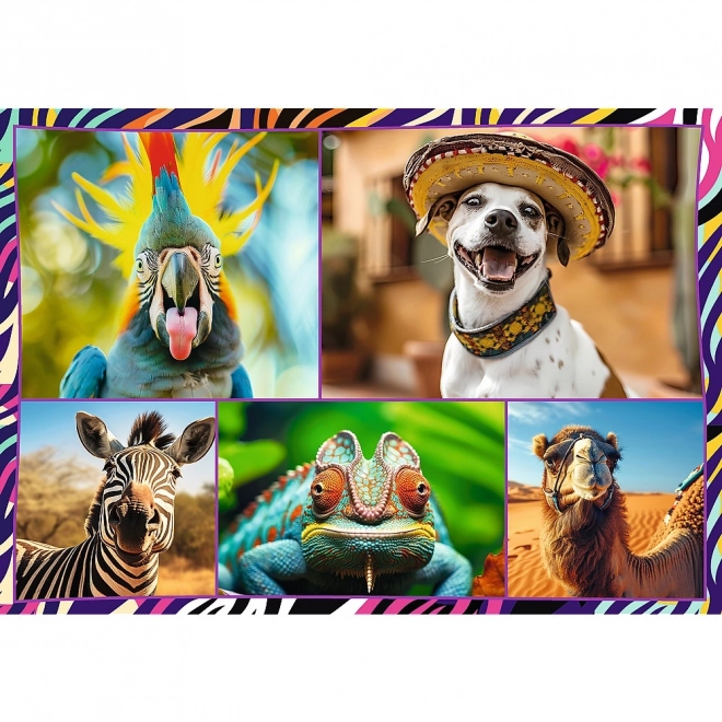 Puzzle 4 x 250 piese animale amuzante