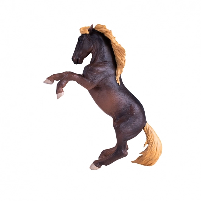 Mojo armăsar Brumby