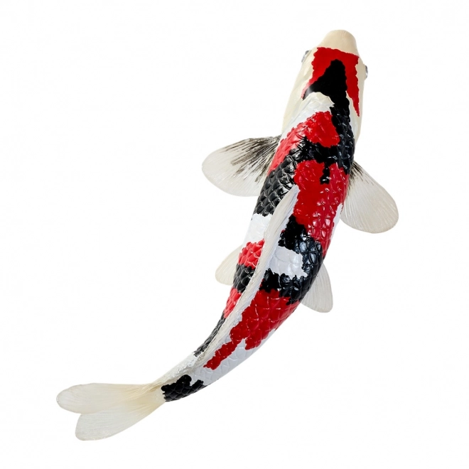 Mojo crap koi showa sanshoku