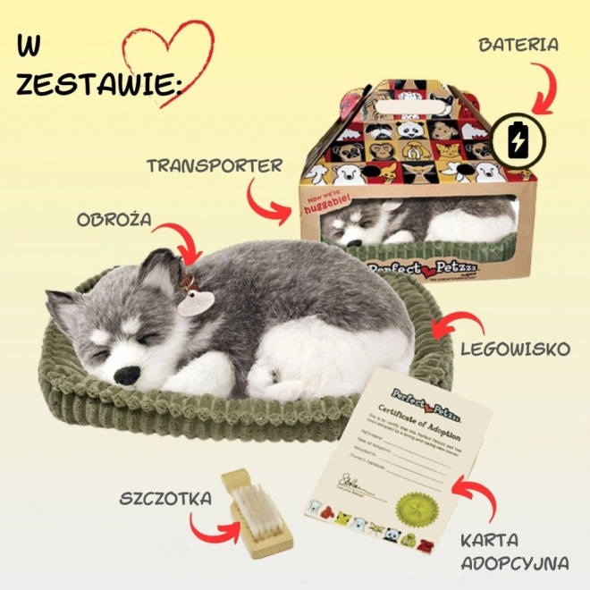 Cățeluș respirabil Alaskan Husky