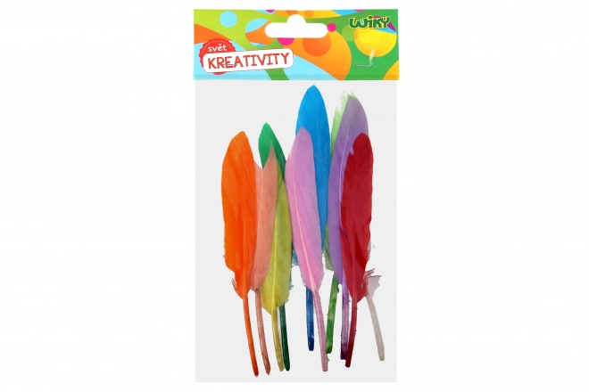 Set creativ decorațiuni pene 12-15 cm