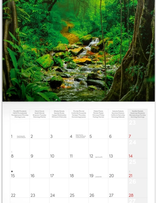 Calendar de notițe Păduri Tropicale 2026