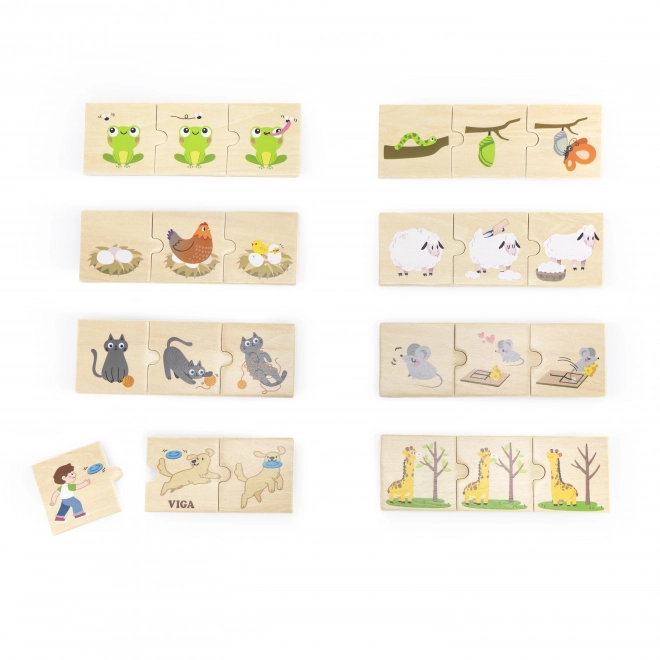 Puzzle din lemn pentru potrivirea activităților animalelor