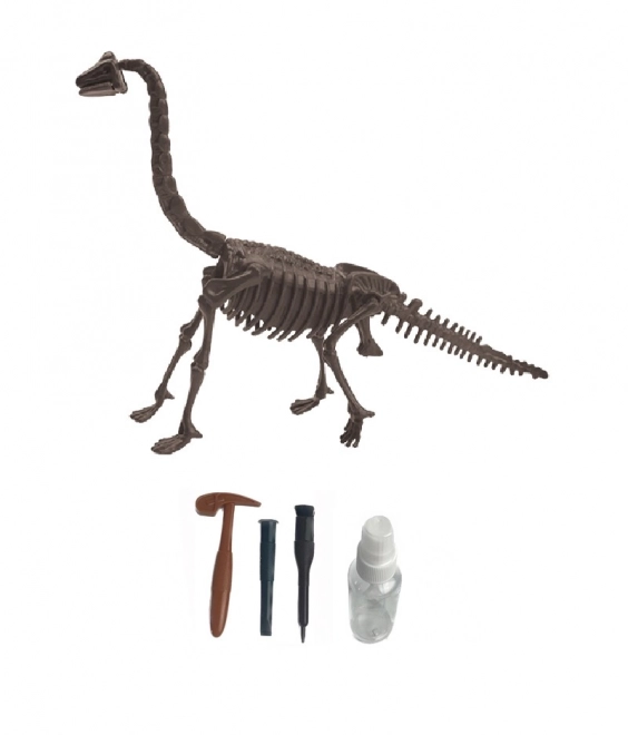Set arheologic – Brachiosaurus