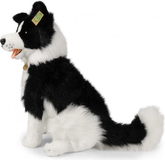 Sigur pentru copii de la naștere