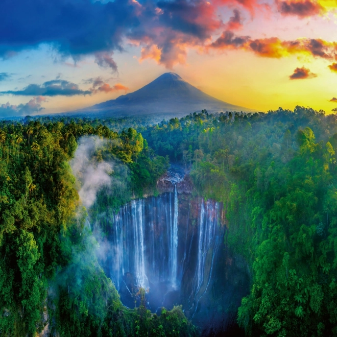 Calendar de notițe Păduri Tropicale 2026