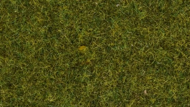 Iarbă statică Pajiște 4 mm
