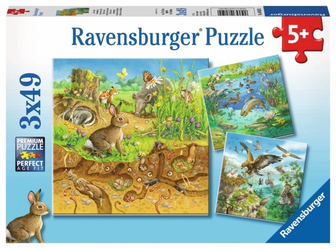 Puzzle Animalele în Habitatul Lor de la Ravensburger