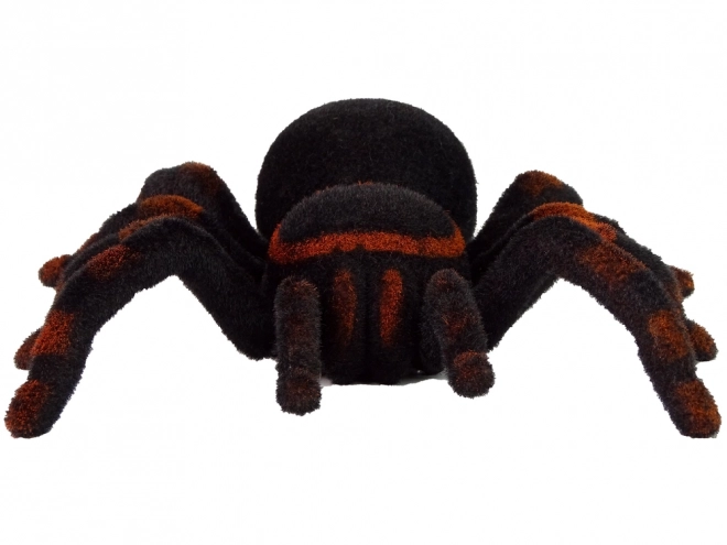 Păianjen Tarantula negru cu telecomandă