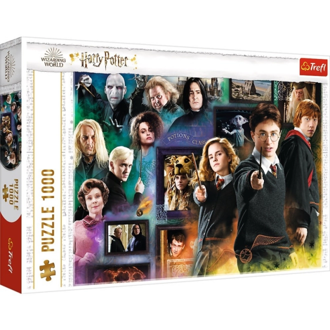 Colaj detaliat cu personaje din HARRY POTTER