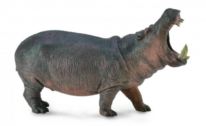 CollectA Hipopotam