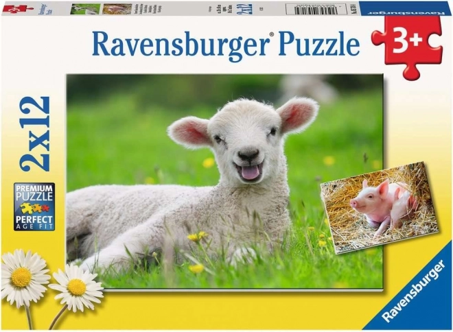 Puzzle animale domestice RAVENSBURGER 2x12 piese