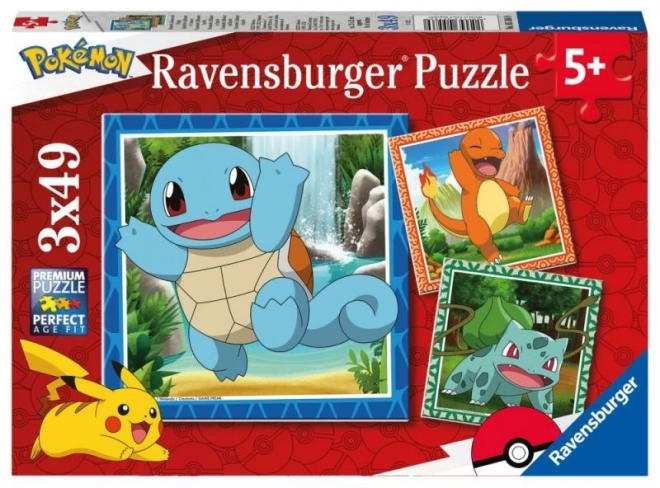 Puzzle Pokémon Triplu Distracție