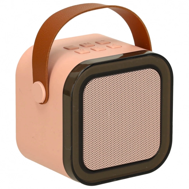 Set karaoke cu microfoane și boxă Bluetooth USB LED roz