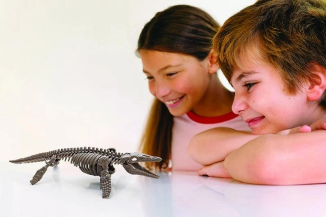 4M Mosasaurus Schelet