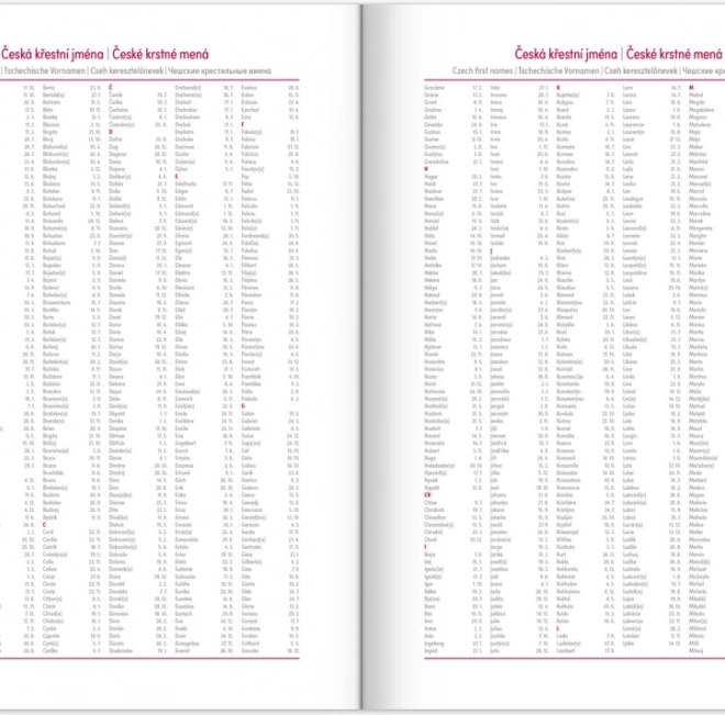 Jurnal zilnic Balakon 2026 bordo
