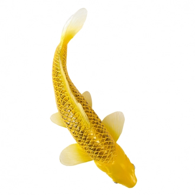 Mojo crap koi Matsuba