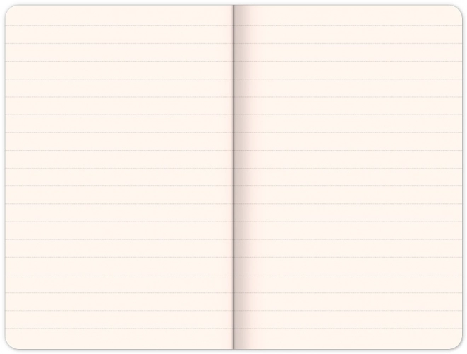 Notique jurnal maro cu buzunar