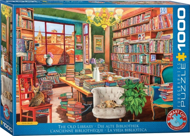 puzzle veche bibliotecă 1000 piese