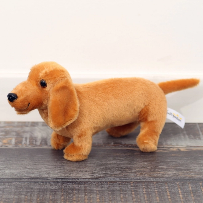 Jucărie de Pluș Câine Teckel Maro Deschis 25 cm
