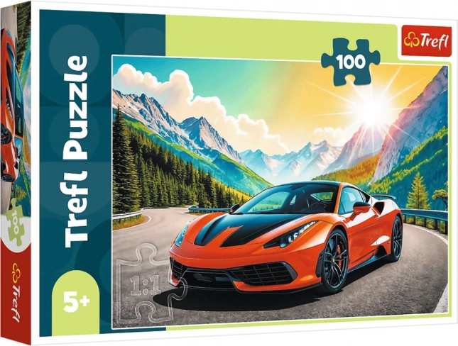 Puzzle 100 piese – cursă contra cronometru Trefl