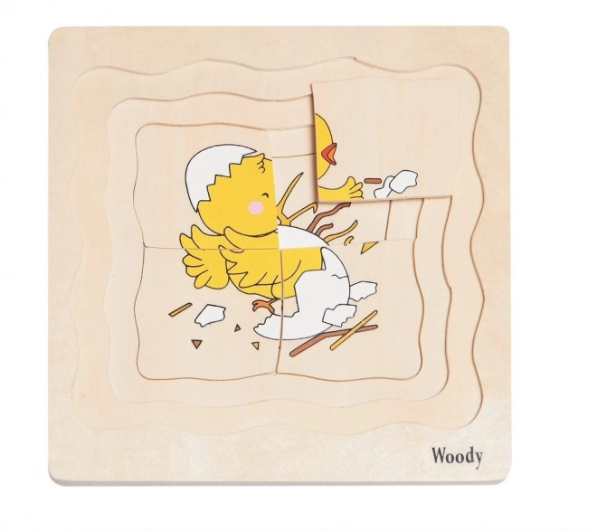 Puzzle stratificate viața unei găini