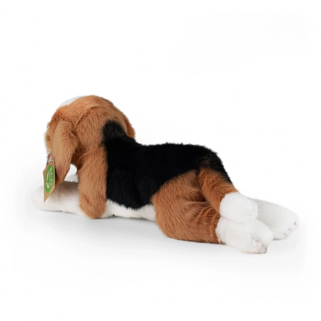 Beagle din pluș eco-friendly de 20 cm